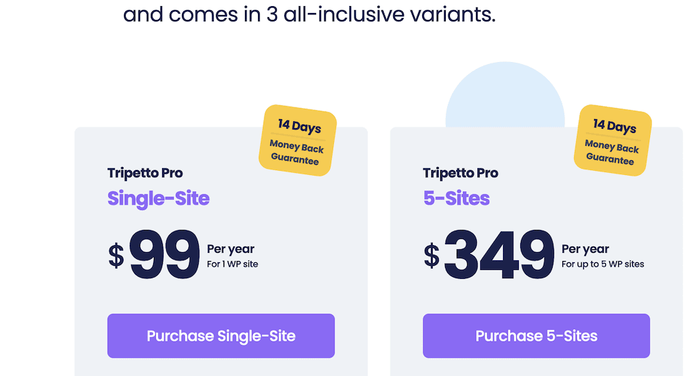Buttons on Tripetto’s site, showing specific CTAs for single-site and multi-site licenses.