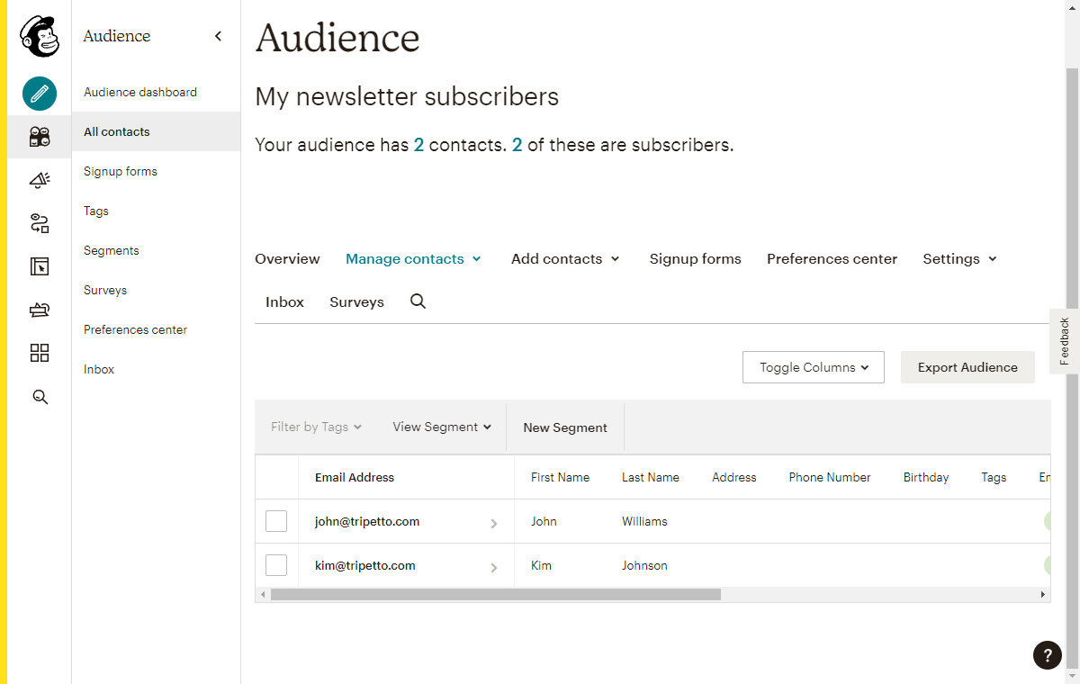 Screenshot of subscribers in Mailchimp