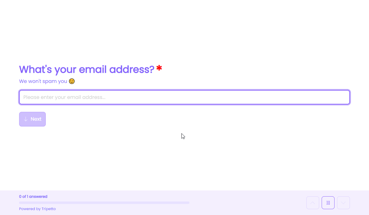 Screenshot of an email address block in Tripetto
