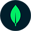 Logo of MongoDB